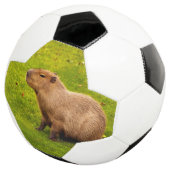 カピバラ サッカーボール (3/4)
