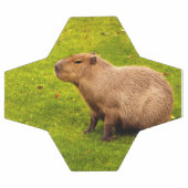 カピバラ サッカーボール (フラット)