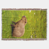 カピバラ スローブランケット (正面)