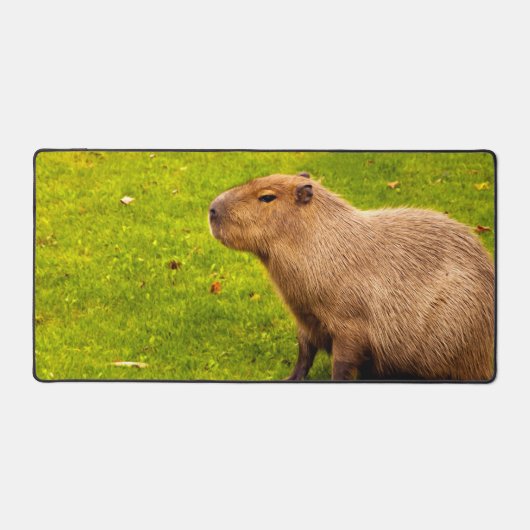 カピバラ デスクマット (正面)