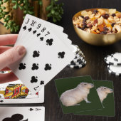 カピバラ トランプ (インサイチュ)