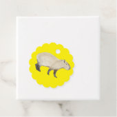 カピバラ フェイバータグ (インサイチュ)