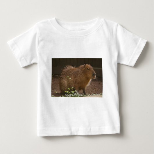 カピバラ ベビーTシャツ (正面)
