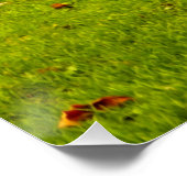 カピバラ ポスター (コーナー)