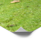 カピバラ ポスター (角)