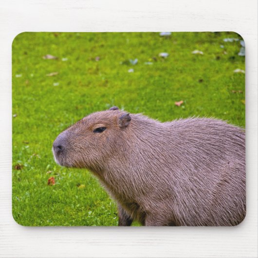 カピバラ マウスパッド (正面)