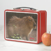カピバラ メタルランチボックス (インサイチュ)