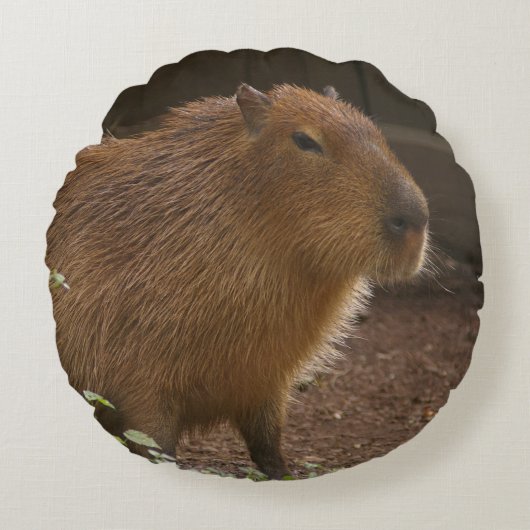 カピバラ ラウンドクッション (正面)