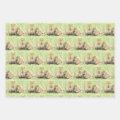 カピバラ ラッピングペーパーシート (正面)