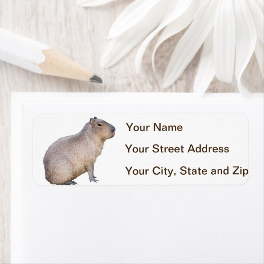 カピバラ ラベル (インサイチュ)