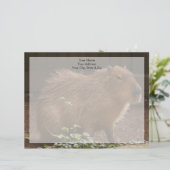 カピバラ レターヘッド (スタンド正面)