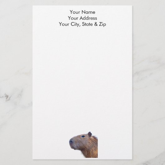 カピバラ 便箋 (正面)