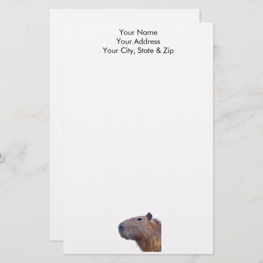 カピバラ 便箋 (正面/裏面)