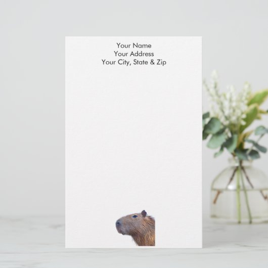 カピバラ 便箋 (スタンド正面)