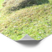 カピバラ – 大型齧歯動物 ポスター (角)