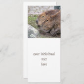 カピバラ 招待状 (正面/裏面)