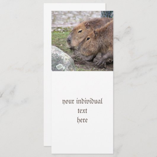 カピバラ 招待状 (正面/裏面)