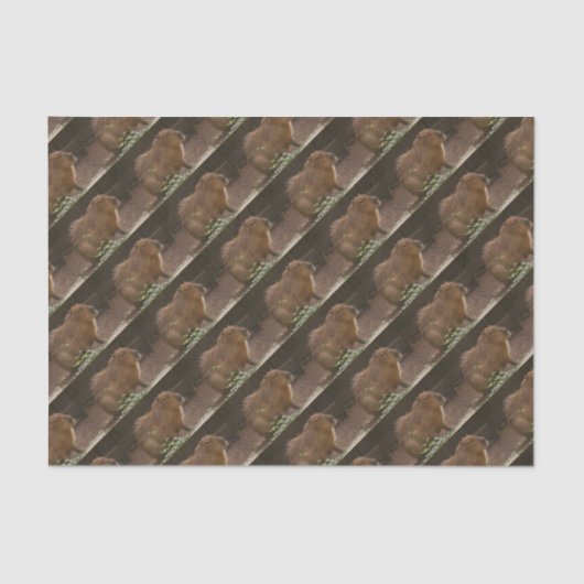 カピバラ 薄葉紙 (正面)