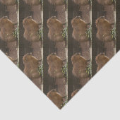 カピバラ 薄葉紙 (詳細)