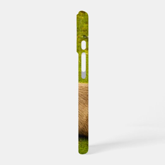 カピバラ iPhone 16ケース (左側面)