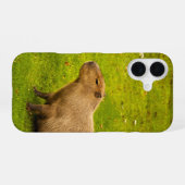 カピバラ iPhone 16ケース (裏面横)