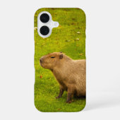 カピバラ iPhone 16ケース (裏面)