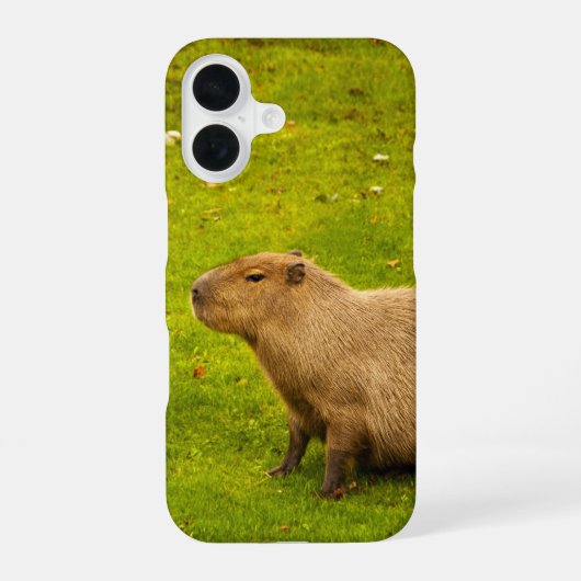カピバラ iPhone 16ケース (裏面)