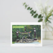 カピラノ渓谷のインディアン願掛け井戸の景色 ポストカード (スタンド正面)