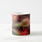 カピラリス丘陵 コーヒーマグカップ (中央)