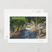 カピラーノキャニオンザサーモンプール ポストカード (正面/裏面)