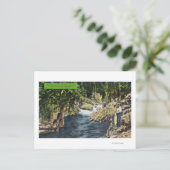 カピラーノキャニオンザサーモンプール ポストカード (スタンド正面)