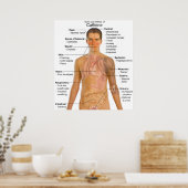 カフェインの主な副作用の表 ポスター (キッチン)