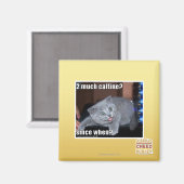 カフェインは2つ? マグネット (正面/裏面)