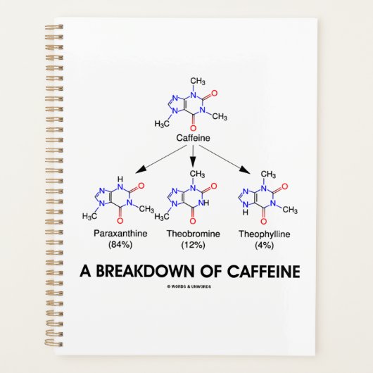カフェイン代謝物の分解 プランナー手帳 (正面)