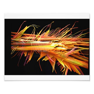 カフェイン結晶プリント フォトプリント           