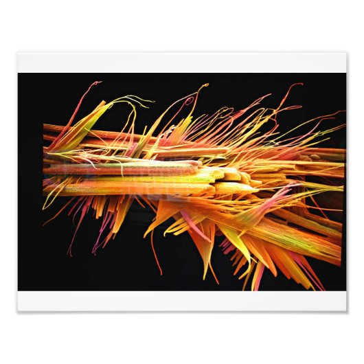 カフェイン結晶プリント フォトプリント            (正面)