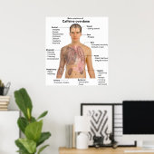 カフェイン過剰摂取の主な症状の表 ポスター (ホームオフィス)