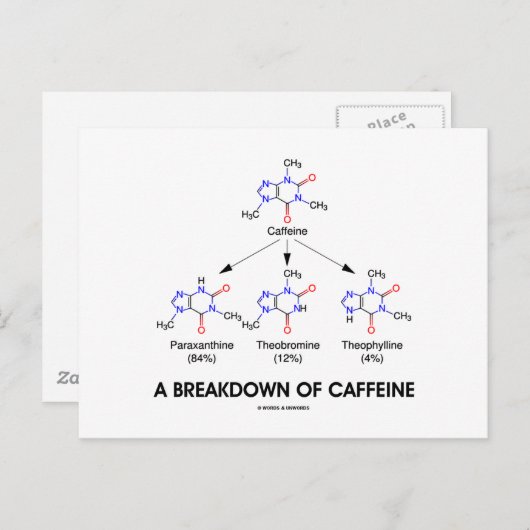 カフェイン(化学分子)の分解 ポストカード (正面/裏面)