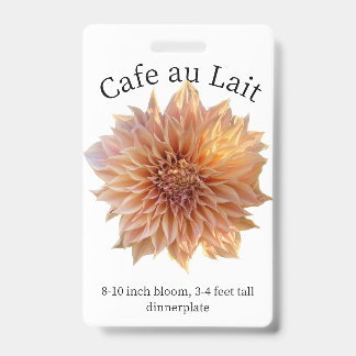 カフェオーレ ダリア ID バッジ