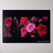 カフェ美しい ポスター (正面)