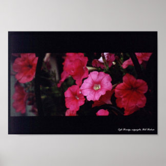 カフェ美しい ポスター