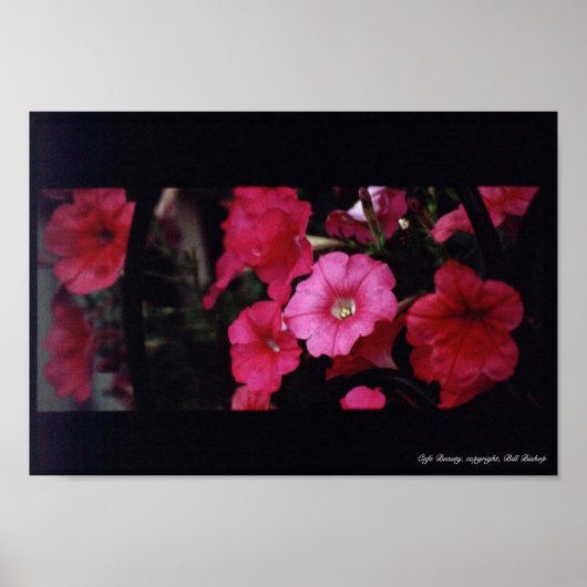 カフェ美しい ポスター (正面)