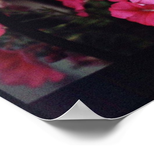 カフェ美しい ポスター (角)