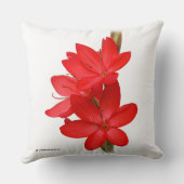 カフフィールリリー クッション (裏面)