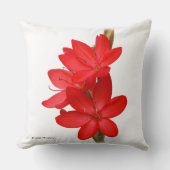 カフフィールリリー クッション (正面)