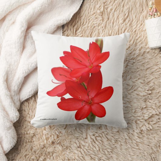 カフフィールリリー クッション (ブランケット)