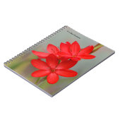 カフフィールリリー ノートブック (左側)