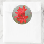 カフフィールリリー ラウンドシール (バッグ)