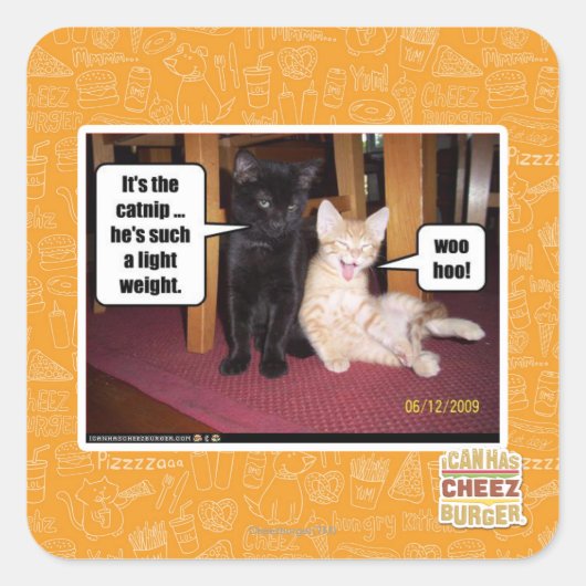 カブだ スクエアシール (正面)