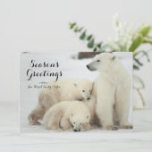 カブスを持つホッキョクグマ シーズンカード (スタンド正面)